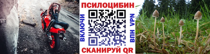 Купить  Воткинск  Галлюциногенные грибы мухоморы 